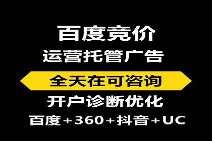 某公司SEO与SEM整合营销的全程记录